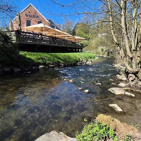 Du Marquis 公寓 Gussignies